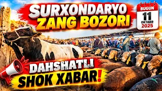 СУРХОНДАРЁ ЗАНГ БОЗОРИДА ШОК НАРХЛАР! 😱 МОЛ ВА ҚЎЙЛАР ҚАНЧА?