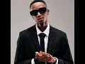 Download Lagu Scotts Maphuma - Ngibolekeni (Official Audio) ft. Various Artists