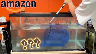 【重大発表あり】Amazonで売っていた生物を捌いて食べ比べしてみた。