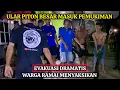Download Lagu ULAR PITON MASUK PEMUKIMAN - EVAKUASI DRAMATIS JADI TONTONAN WARGA