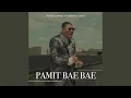 Lagu Pamit Bae Bae