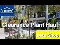 Shopping at Lowes for Fall Color Plants Shop With Me Mailbox Makeover Series