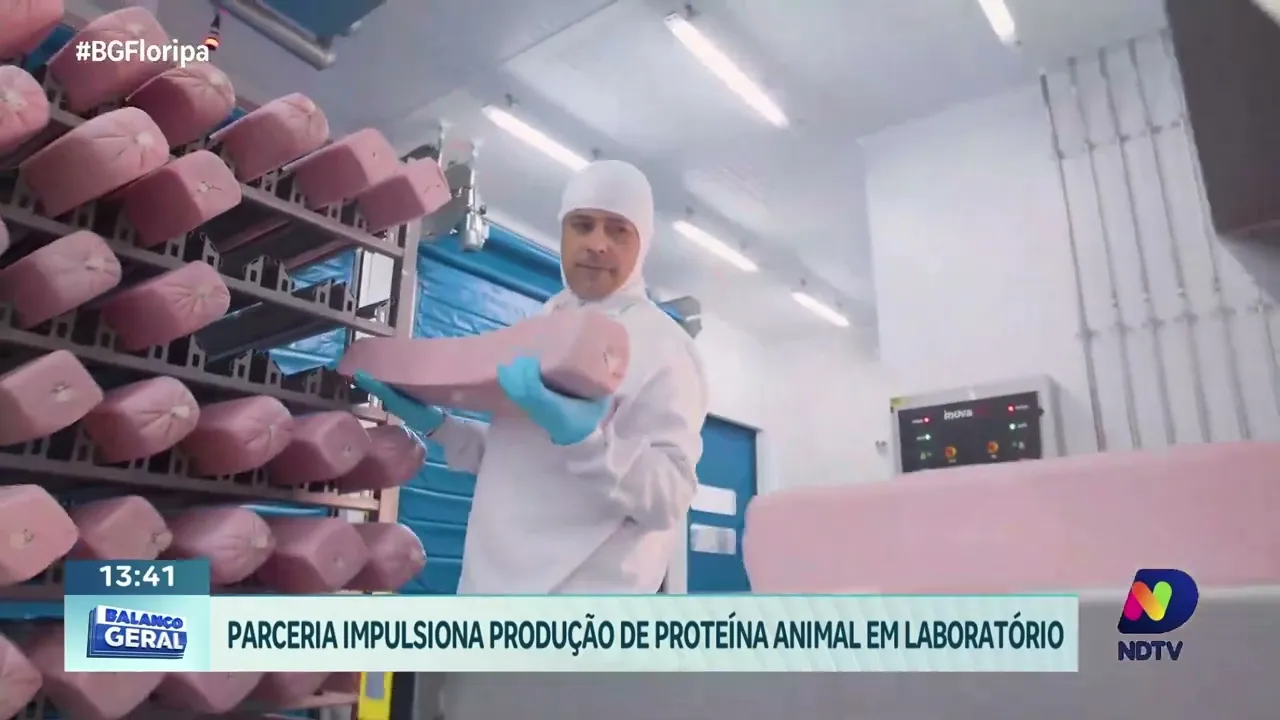 UFSC e JBS firmam parceria para impulsionar pesquisas em produção de proteína animal em laboratório