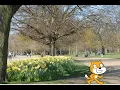 Scratch Coding - How to use your own picture as a backdrop