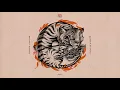 Download Lagu JahYu - Center Of Gravity (Full Album) | Instrumental Dub Reggae 2021 [Steppas Records]