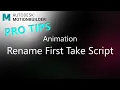 MotionBuilder ProTips - Animation