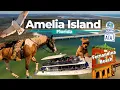 AMELIA ISLAND Fernandina Beach Cumberland Island North Jacksonville Beaches