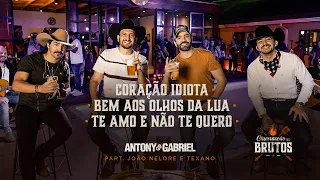 antony e gabriel antony u0026 gabriel e jo o nelore e texano cora o idiota bem aos olhos da lua