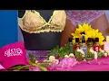 Download Lagu Busted Bra Shop on Live in the D