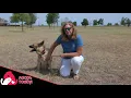 Waco Employee Animal Shelter Adoption Stories Christie Acosta