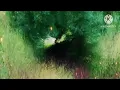 (Deep In The Glowing Heart) loop background visual