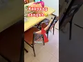 Download Lagu Ngantuk gila🤣tidur#cute #kitten #lucu #shorts