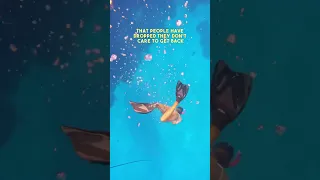 Treasure hunting! 🏴‍☠️🤿 #mediterannean #boatlife #livingonaboat #treasurehunting