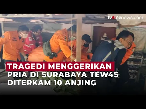 Warga Surabaya Tewas Mengenaskan, Diduga Dimangsa 10 Anjing Peliharaan