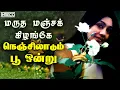 Lagu Marutha Manjakizhangu - Nenjil Aadum Poo Ondru
