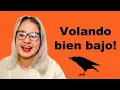 Download Lagu Wita tirandole al Mito T de nuevo