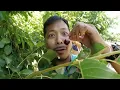 U-PICK CHERRY PICKING G S FARMS BRENTWOOD CALIFORNIA May 30 2021