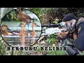 Lagu GILA❗️MENEMUKAN RIBUAN SARANG BELIBIS MERAH. BERBURU BELIBIS. BORNEO SLUG