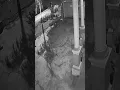 Download Lagu seorang wanita terekam kamera cctv sedang menaburkan tanah kuburan ke depan rumah orang jam 1 malam