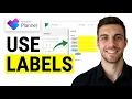 How to Use Labels in Microsoft Planner 2026 Quick Easy