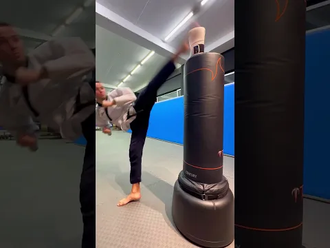 Taekwondo Kicks in Targets💥