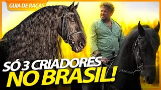 FRIESIAN, UM CAVALO QUE QUASE FOI EXTINTO! | RICHARD RASMUSSEN