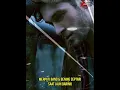 Download Lagu Merpati Band \u0026 Bening Septari - Saat Jauh Darimu
