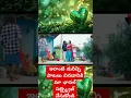 Download Lagu Nindu Punnami Vela - A Beautiful Telugu Song