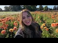 Download Lagu The ULTIMATE Dahlia Garden Tour 2023! 😍🌸