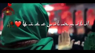 حالات واتس اب شوفتك تسوى حياتي لبيك يا حسين  حالات واتس اب شوفتك تسوى حياتي لبيك يا حسين
