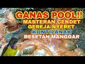 Download Lagu PALING GANAS,,!!MASTERAN CENDET!!,,GEREJA NYERET,KUNTILANAK,MANGGAR BESET.