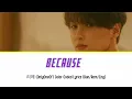 Rie (OnlyOneOf) - 'because' Color Coded Lyrics (HAN/ROM/ENG)