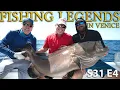GIANT 86 Pound Black Grouper in Venice Florida