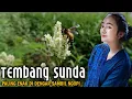 Download Lagu Ademnya ⁉️ Menikmati Alam Pedesaan Dengan Alunan Tembang Sunda Populer Paling Enak di Dengar