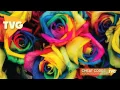 Cheat Codes - Visions Boehm Remix