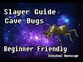Cave Bugs Slayer Guide - Beginner-Friendly