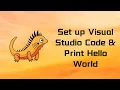 Zig How to Set up Visual Studio Code for Zig Print hello world Tutorial 03