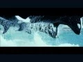 Download Lagu M83  - My Tears Are Becoming A Sea   ( Rust And Bone )