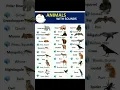 Animal Sounds Vocabulary for English Learners #shorts