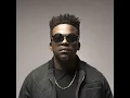 Download Lagu Dj Mshega - Butterflies (Mellowmental Mix)