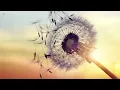 Rose Petals: Beautiful, Romantic & Relaxing Piano Music by Peder B. Helland