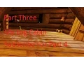 The Forest My Cosey Little Log Cabin Part 3 Not so Little Any More