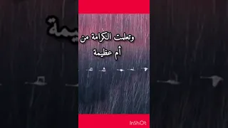 بنت الأصول اكسبلور لايك اشتراك 