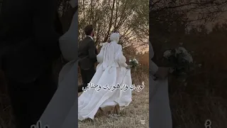 أرواحنا كالجند تلاقت 