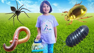 Download Bug Hunt Outdoor Adventure With Zoe Spiders Beetles Insects Roly Poly MP3