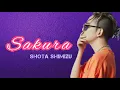 Download Lagu Sakura (桜) | Shota Shimizu