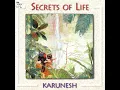 A Journey To India - Karunesh