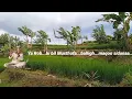 Download Lagu Sholawat Al burdah-Instrument Seruling || Suling cover-sholawat || Musik Relaxing || Pengantar tidur