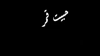 حالات واتس مهرجان الحب كأس مسلم و عصام صاصا 