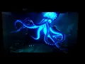 Finding Dory Squid Giant Chase